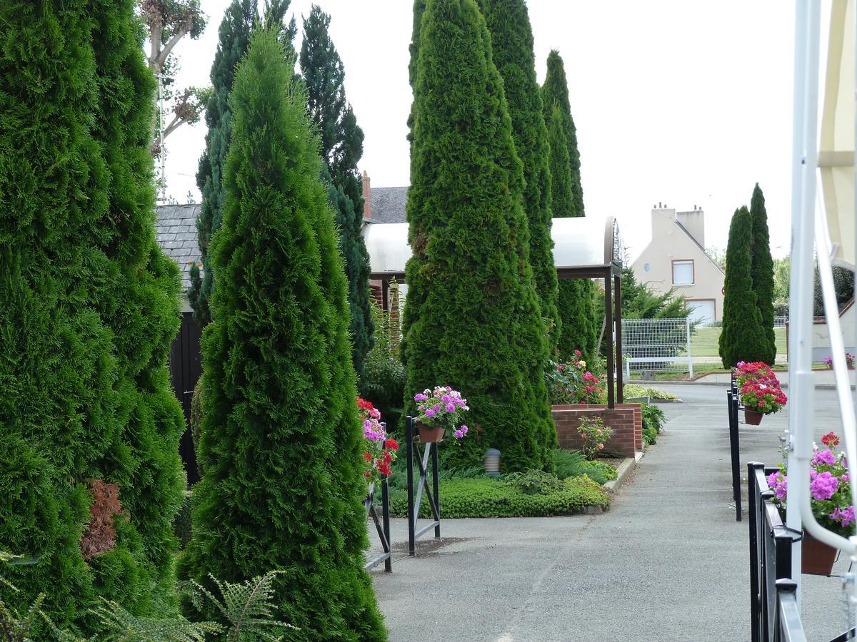 Hostellerie Du Chateau Saint-Pere-sur-Loire Екстериор снимка